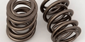 Mustang Valve Springs & Components 