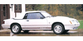 1984 Mustang GT 350 Bumper Stripe Kit 