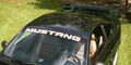 Mustang Windshield Banners & Decals