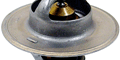 Mustang Thermostats & Thermostat Housings