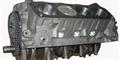 Mustang 5.8L Based Short & Long Block Crate Engine