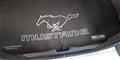 Mustang Fender Gripper Trunk Mat