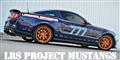 Our Project Mustangs