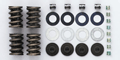Mustang Valve Spring Upgrade Kits 